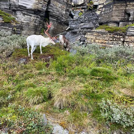 Appartamento House Nordkapp Fishing Adventure